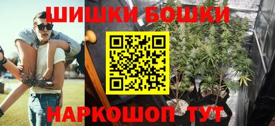 jwh Будённовск