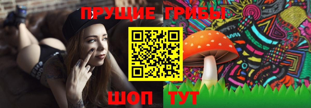 Краснознаменск  Псилоцибиновые грибы мухоморы  купить наркоту  Вход с VPN 